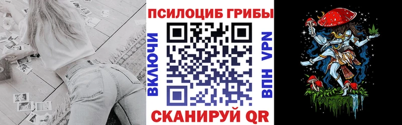 KRAKEN рабочий сайт  Киреевск  Псилоцибиновые грибы Psilocybine cubensis 