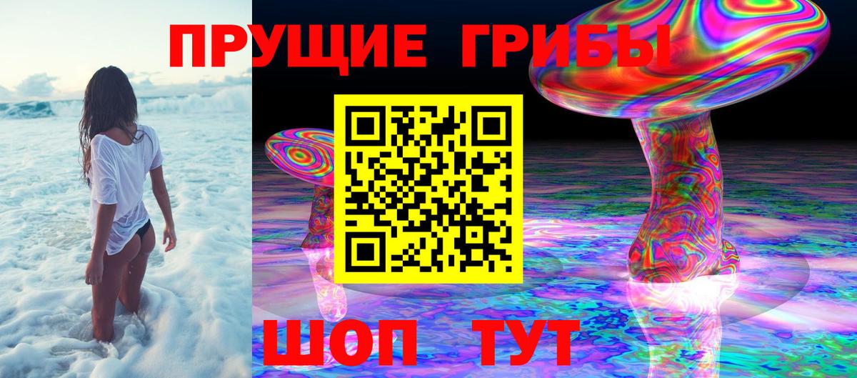 Галлюциногенные грибы GOLDEN TEACHER Киреевск